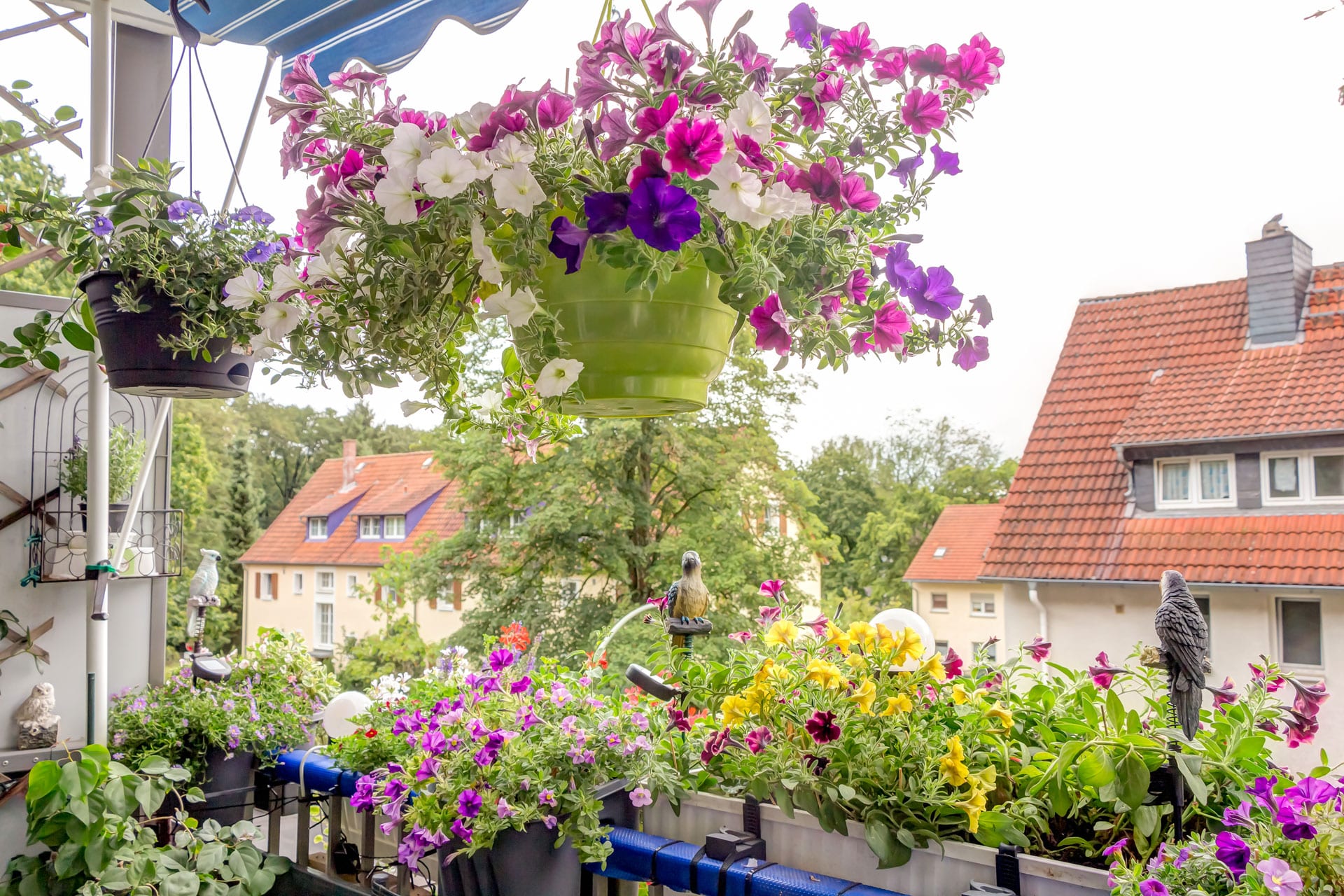 HWB-Balkonwettbewerb: Blütenpracht, Kräuter und Dekoration